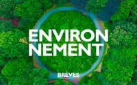 Saint-Nazaire : un World Clean Up Day avec les entreprises de la zone de Brais